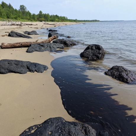 Многократная регенерация