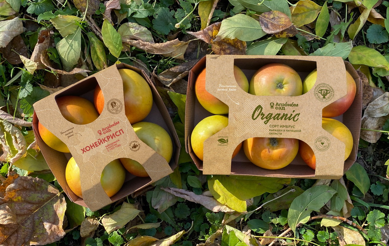 Дизайн пакетов для яблок