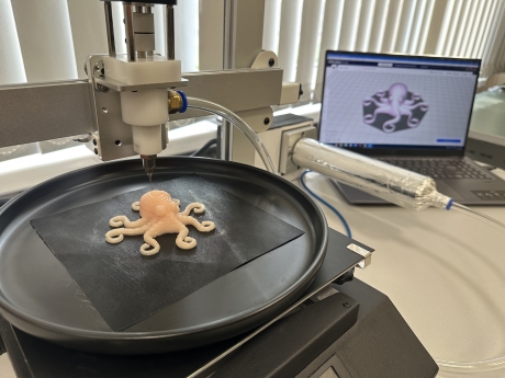 Этап апробации