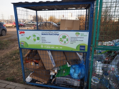 Березовый баланс