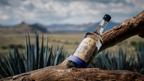 Дом роскоши