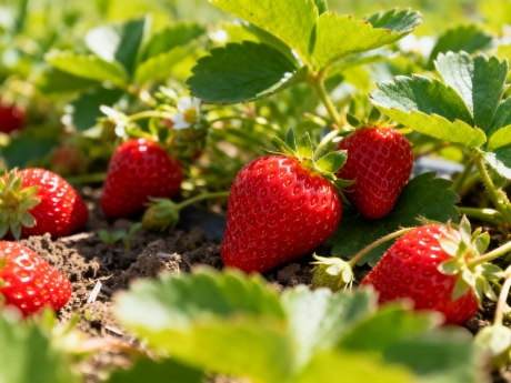 Полное покрытие