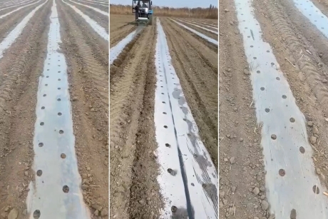 Успешные примеры